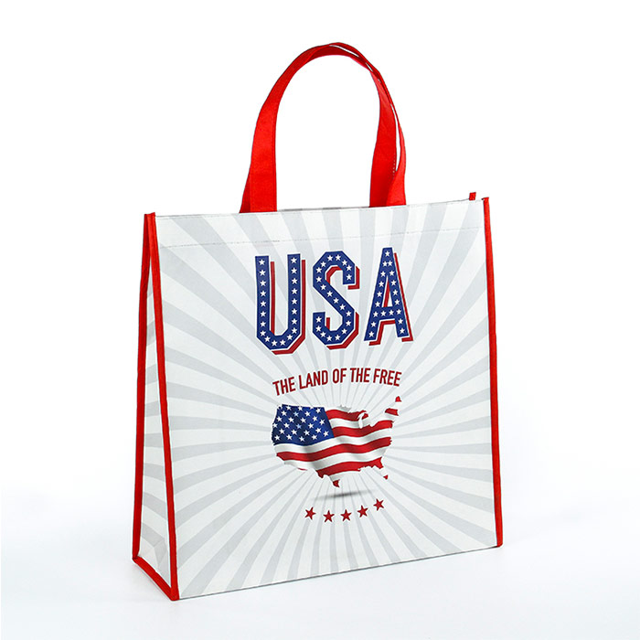 Non-woven Bag with Lamination